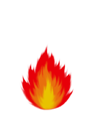 ���ݻ��� �����ߺ��°�
